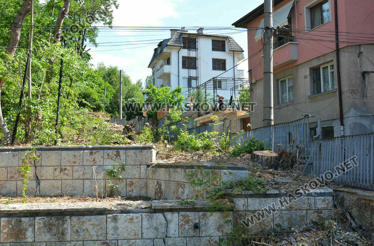 Отсякоха дървета пред ДНА в Хасково заради рушаща се стена, дават под наем помещение и ресторант