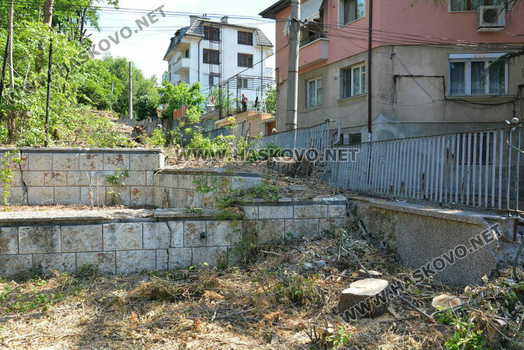 Отсякоха дървета пред ДНА в Хасково заради рушаща се стена, дават под наем помещение и ресторант