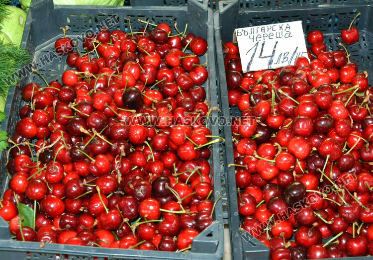 Черешите ще останат скъпи и вносни – нищожна част от родните  оцеляха 