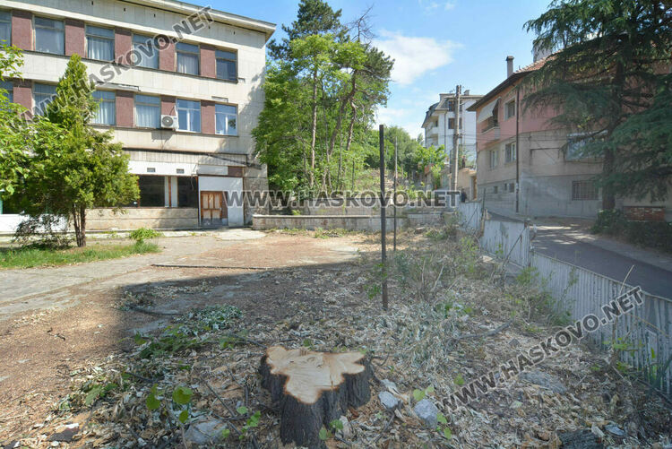 Отсякоха дървета пред ДНА в Хасково заради рушаща се стена, дават под наем помещение и ресторант