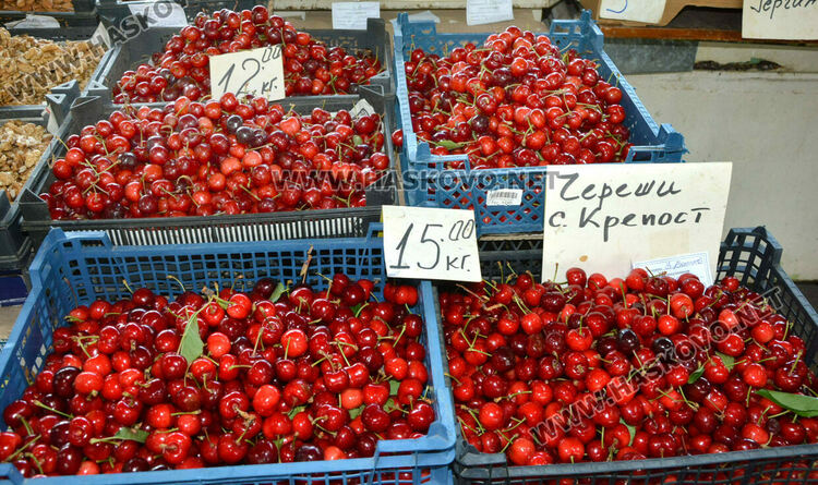 Черешите ще останат скъпи и вносни – нищожна част от родните  оцеляха 