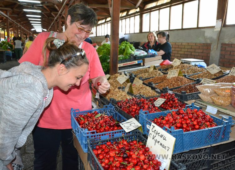 Черешите ще останат скъпи и вносни – нищожна част от родните  оцеляха 