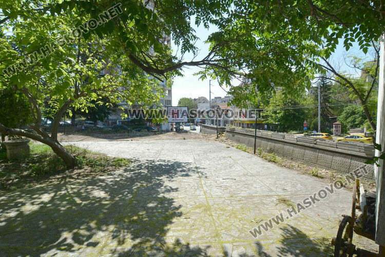 Отсякоха дървета пред ДНА в Хасково заради рушаща се стена, дават под наем помещение и ресторант