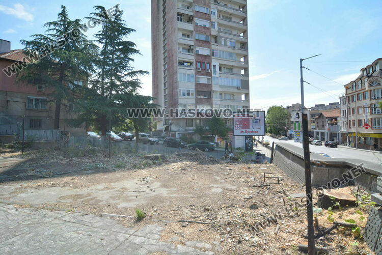 Отсякоха дървета пред ДНА в Хасково заради рушаща се стена, дават под наем помещение и ресторант