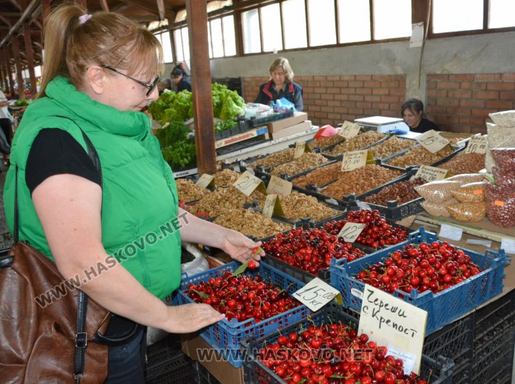 Черешите ще останат скъпи и вносни – нищожна част от родните  оцеляха 