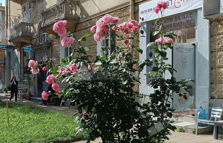 Променлива облачност днес в Кърджали,шанс за слаб дъжд