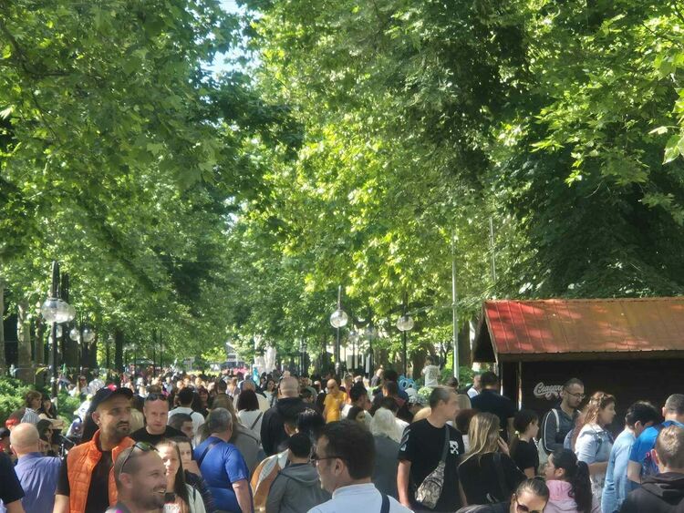 Стотици деца и родители изпълниха Централната градска алея в Димитровград на 1 юни