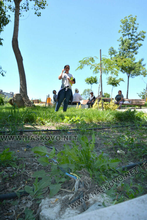 Хасковлия: Младежи чупят лампи, пейки и съоръжения в парка зад ДНА