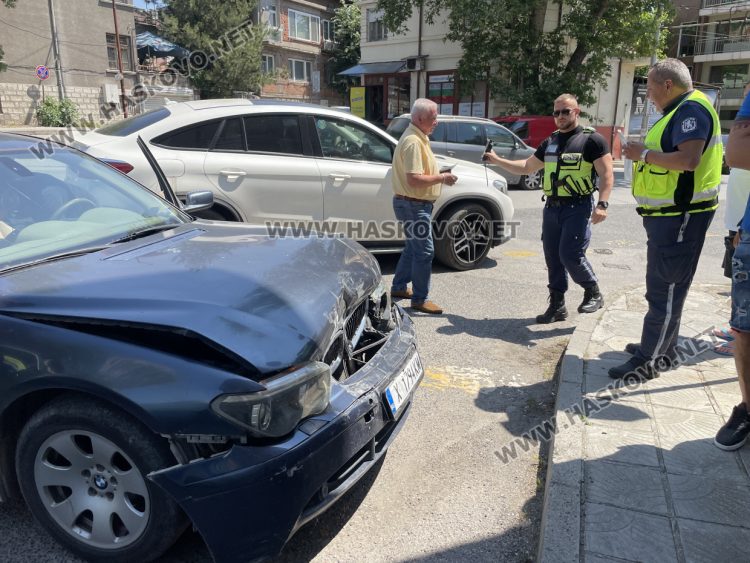 Хасковлии: Котка предизвика верижна катастрофа