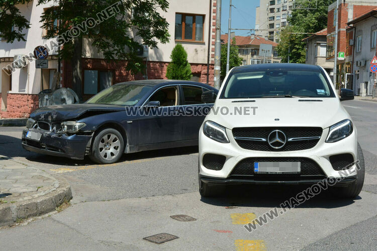 Хасковлии: Котка предизвика верижна катастрофа