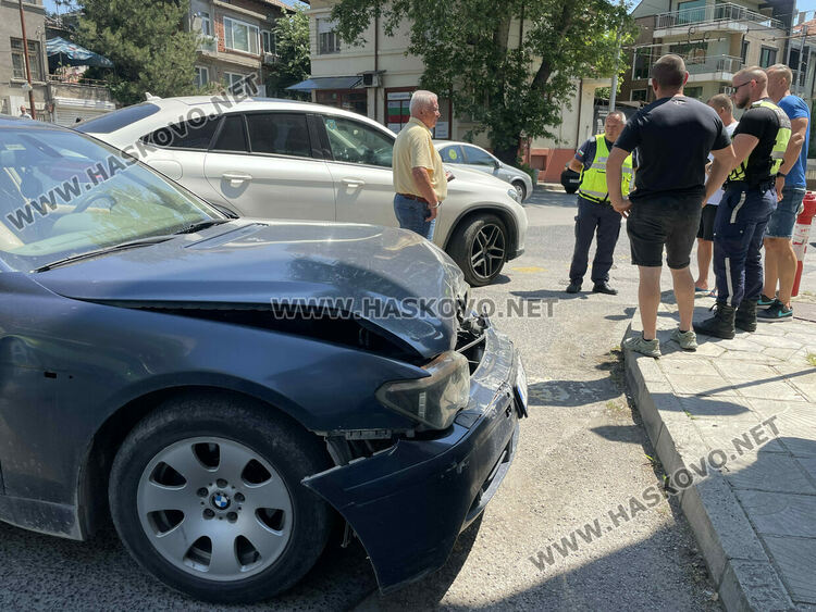 Хасковлии: Котка предизвика верижна катастрофа