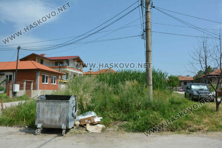 Жители на кв. „Република“ се жалват от блато с папур 