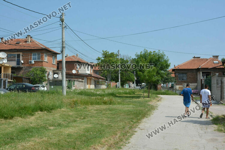 Жители на кв. „Република“ се жалват от блато с папур 