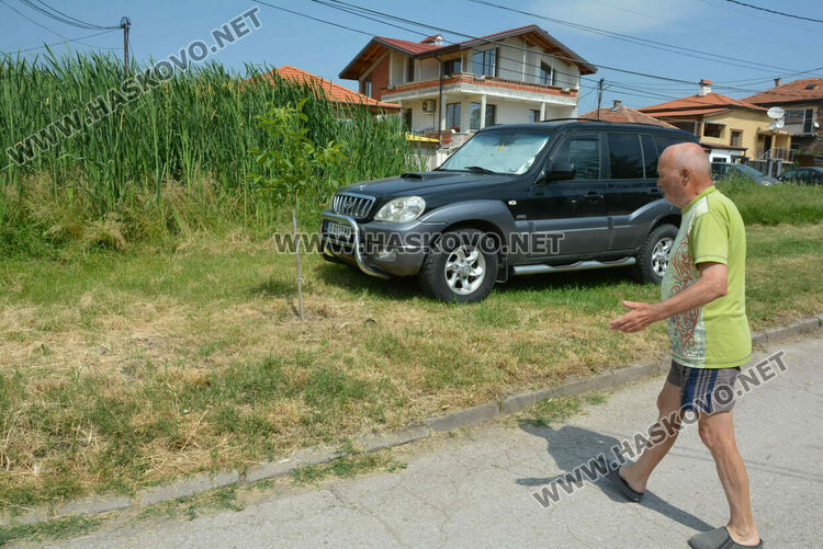 Жители на кв. „Република“ се жалват от блато с папур 