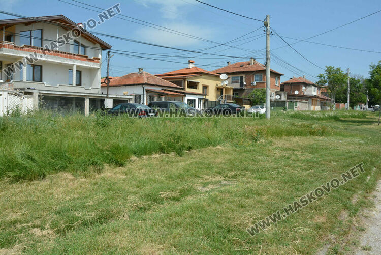 Жители на кв. „Република“ се жалват от блато с папур 