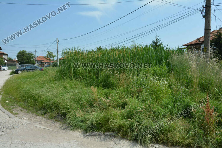 Жители на кв. „Република“ се жалват от блато с папур 