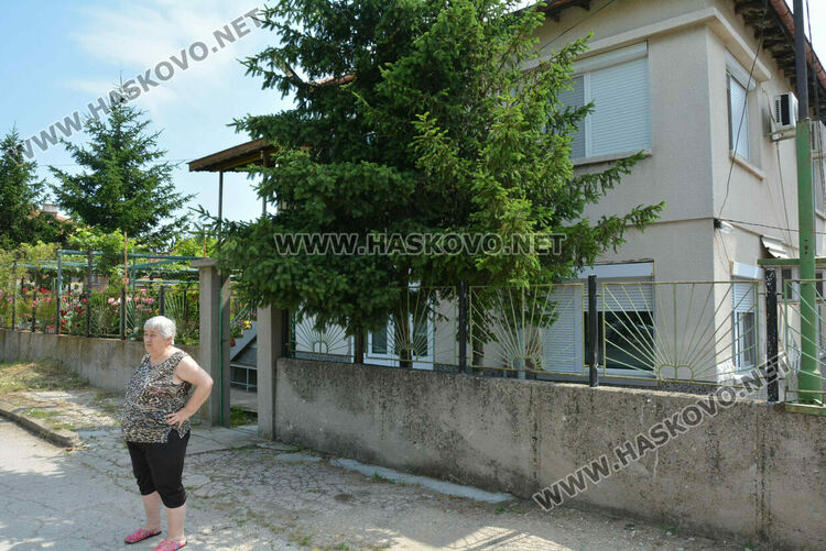 Жители на кв. „Република“ се жалват от блато с папур 