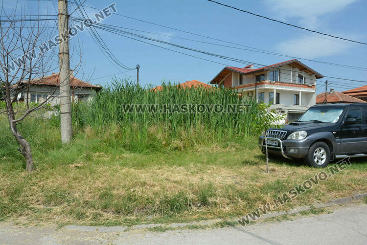 Жители на кв. „Република“ се жалват от блато с папур 