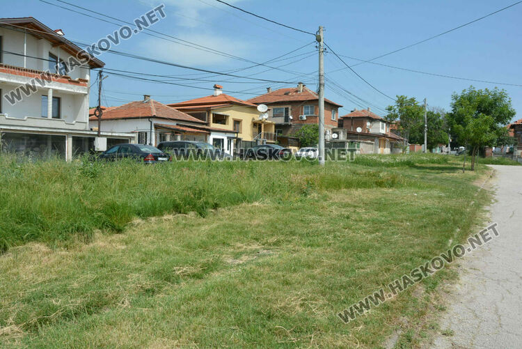 Жители на кв. „Република“ се жалват от блато с папур 