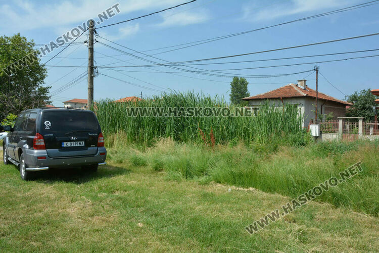 Жители на кв. „Република“ се жалват от блато с папур 