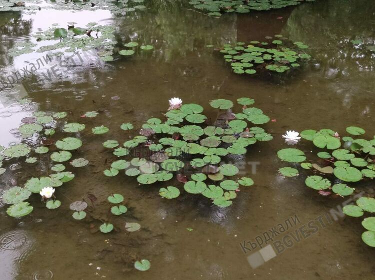   Предимно слънчево и ветровито днес в Кърджали