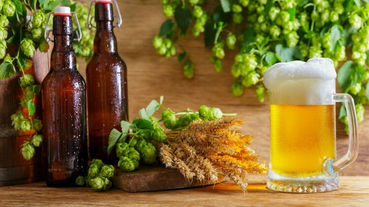 Как безалкохолната бира става безалкохолна и защо се харесва все повече
