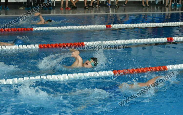 Общината кани млади плувци на състезание в Хасково