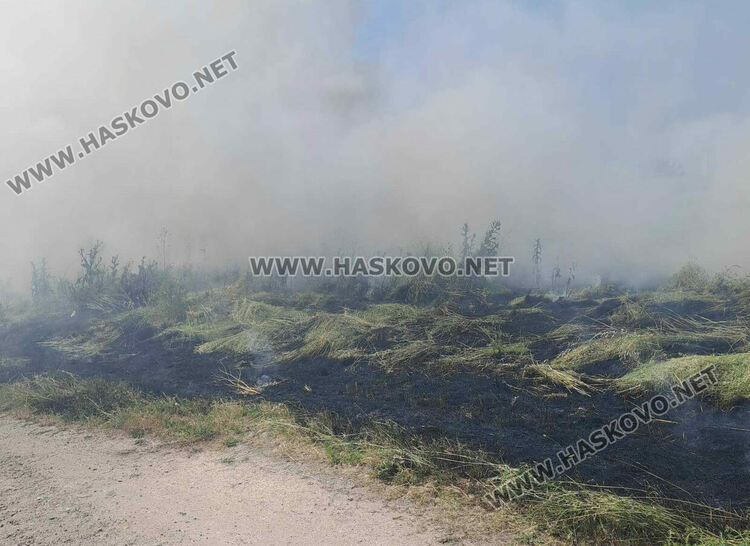 Изгоряха около половин декар сухи треви и храсти