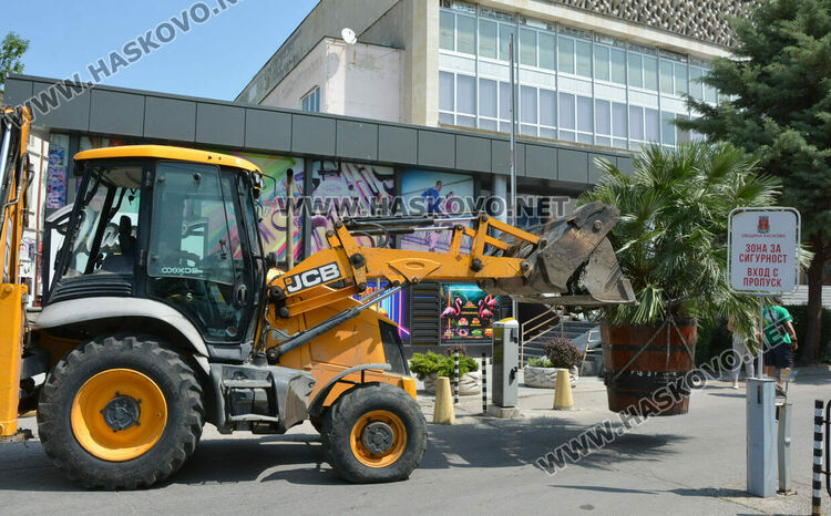 Все по-лятна става атмосферата в Хасково, сложиха и тропическите палми