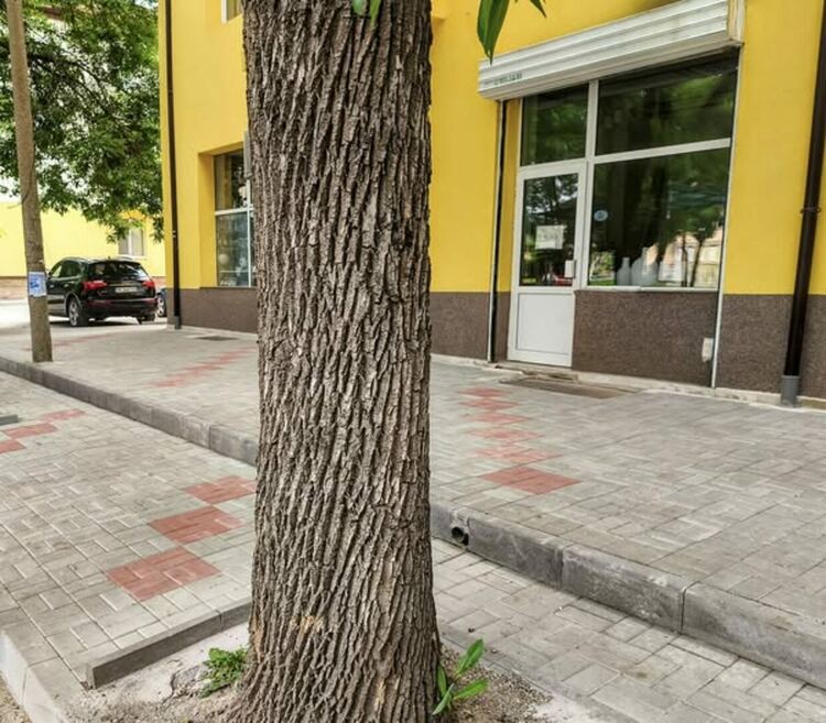 Изграждат се нови тротоари в кв. Изток