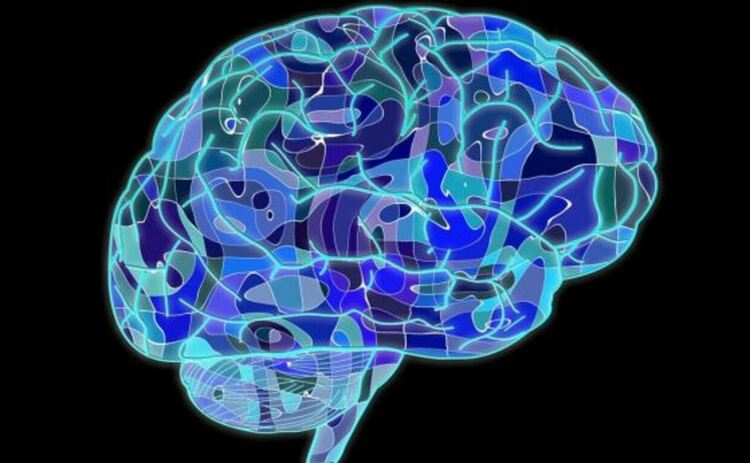 Ново откритие показва как туморите експлоатират нервната ни система