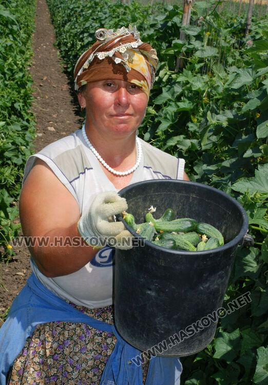 Земеделците ще вписват само имена и ЕГН в еднодневните трудови договори 