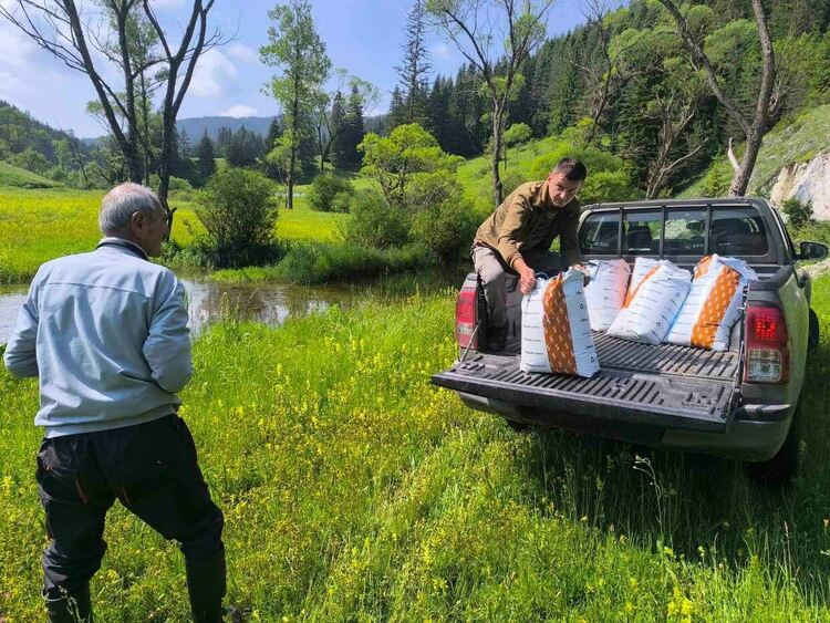 32 000 балкански пъстърви пуснати в река Триградска и притоците ѝ