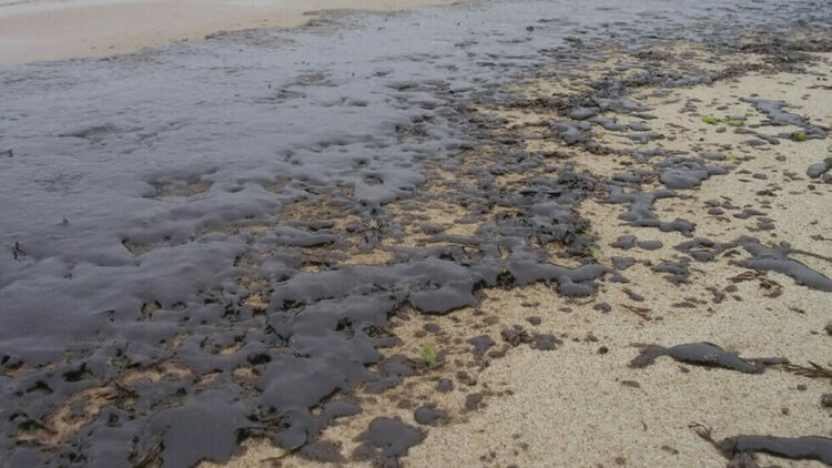 Разлив в морето край Бургас: Локализирано е замърсяване с дизелово гориво