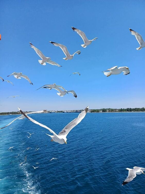 Пореден горещ ден в Хасковско