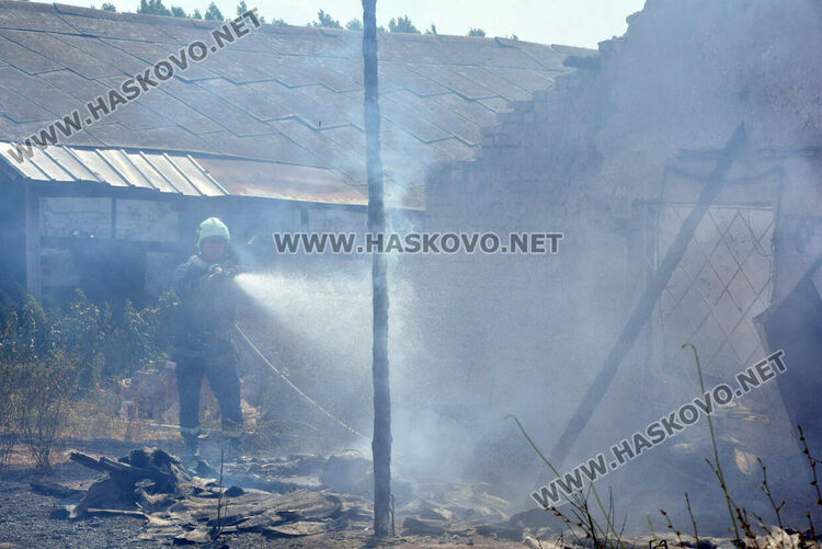 Пожар избухна в стопанска постройка с около 70 крави и телета