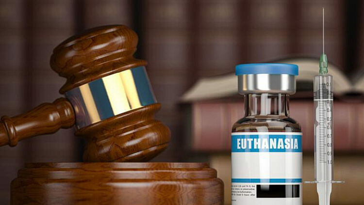 Асистирана смърт във Великобритания? Гласуването може да промени европейската картина