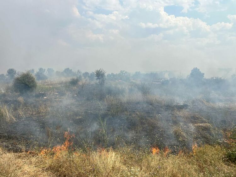 Пожар избухна в житен блок край Васково, обхвана и горски масив