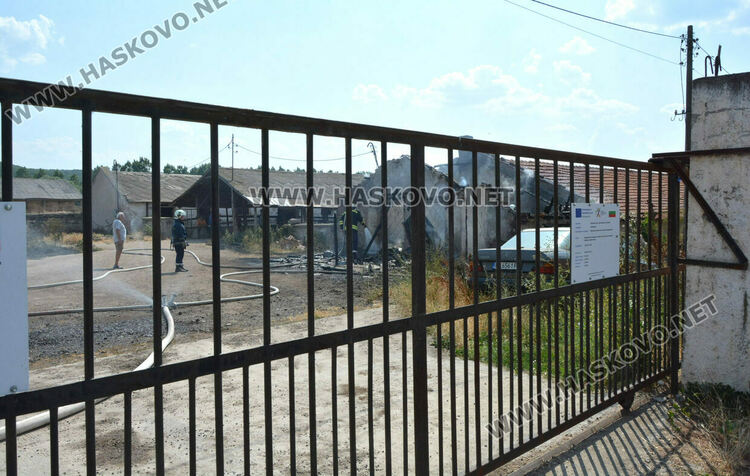 Пожар избухна в стопанска постройка с около 70 крави и телета