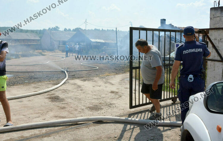 Пожар избухна в стопанска постройка с около 70 крави и телета