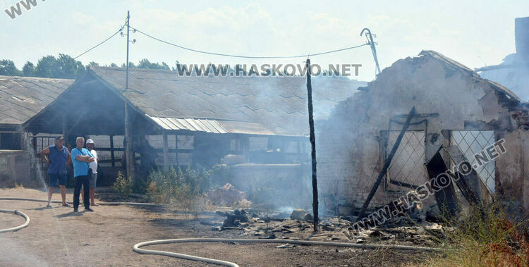 Пожар избухна в стопанска постройка с около 70 крави и телета