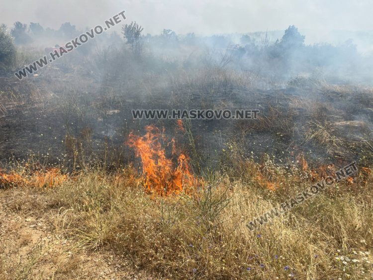 Пожар избухна в житен блок край Васково, обхвана и горски масив
