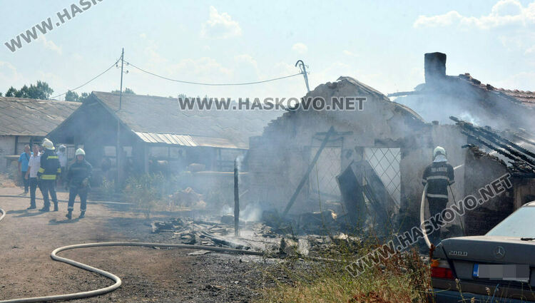 Пожар избухна в стопанска постройка с около 70 крави и телета