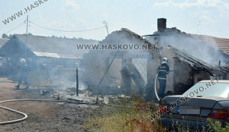 Пожар избухна в стопанска постройка с около 70 крави и телета