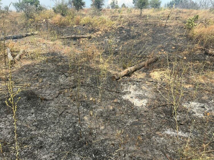 Пожар избухна в житен блок край Васково, обхвана и горски масив