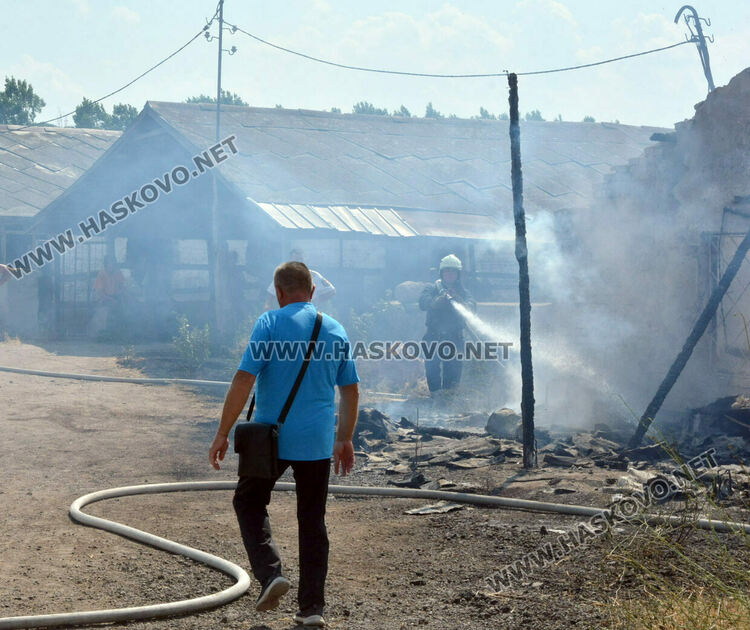 Пожар избухна в стопанска постройка с около 70 крави и телета