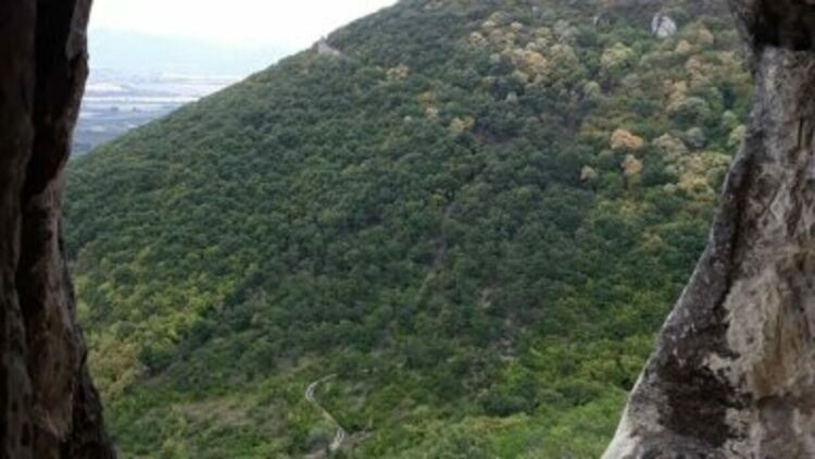 Затвориха част от Шуменското плато заради голямо диво животно