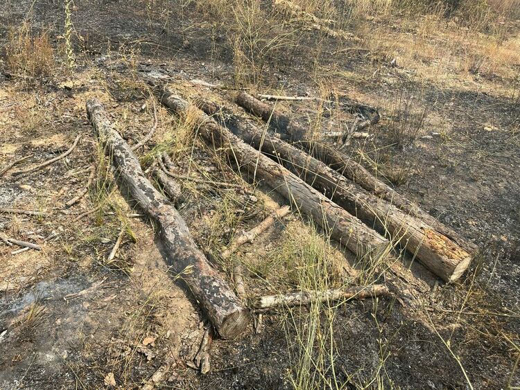 Пожар избухна в житен блок край Васково, обхвана и горски масив