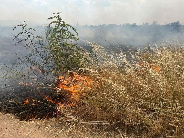 Пожар избухна в житен блок край Васково, обхвана и горски масив