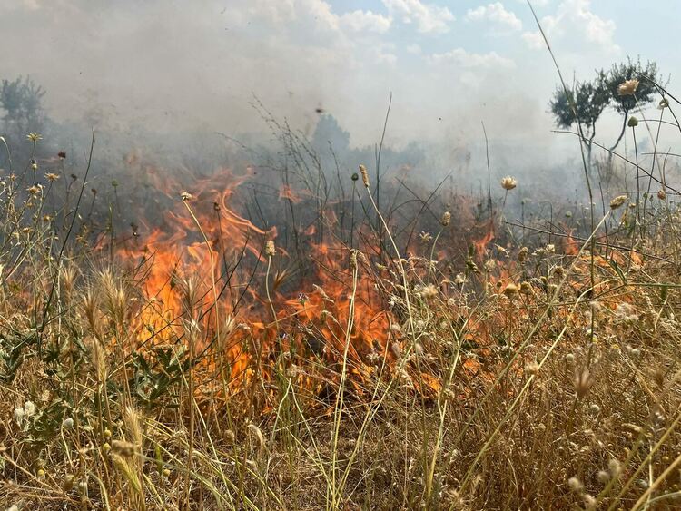 Пожар избухна в житен блок край Васково, обхвана и горски масив